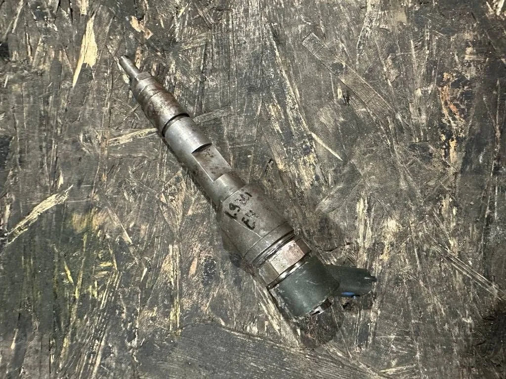 Injector Renault Megane II F9Q 8200389369